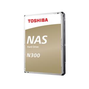 N300 10TB Nas HDD SATA 3.5in 7200rpm 6gbit